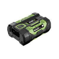 EGO BHX1000-K0002 Rückentragegestell für handgeführte Akkus Set