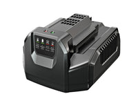 EGO CH2100E Ladegerät 210W