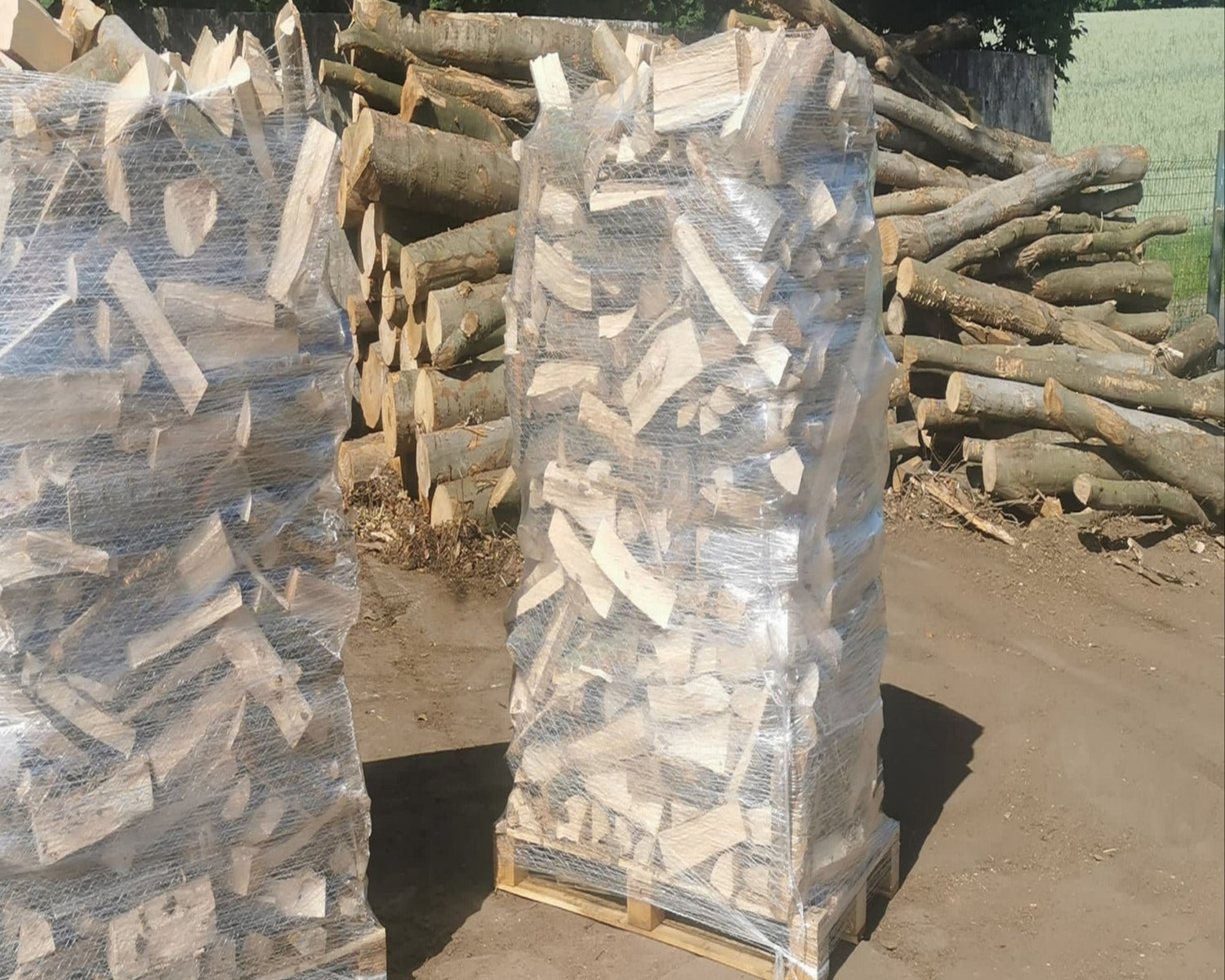 ANGEBOT Kaminholz Brennholz trocken, Schüttraummeter auf Palette inkl. 1 Sack Anzündhölzer ca.10 KG