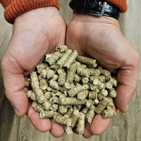 Miscanthus Pellets Einstreu 8 mm – 30 kg (15+15 kg Sack) | 100% Naturprodukt | Staubarme Pferde- & Tierstreu | Hohe Saugkraft & Geruchsbindung | Umweltfreundliche Alternative zu Sägespänen