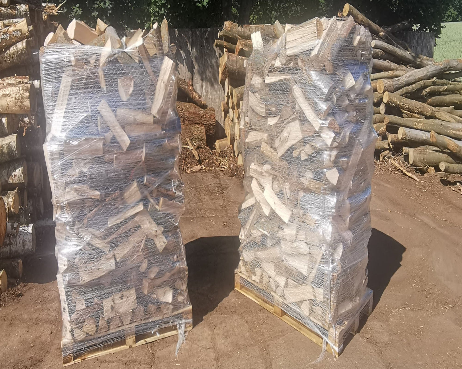 ANGEBOT Kaminholz Brennholz trocken, Schüttraummeter auf Palette inkl. 1 Sack Anzündhölzer ca.10 KG