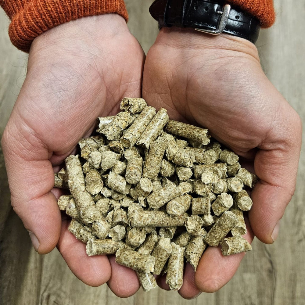 Miscanthus Pellets Einstreu 1000 kg Big Bag – 100 % Naturprodukt aus Elefantengras – Staubarm, Saugstark & Geruchsbindend – Pferdeeinstreu, Tiereinstreu, Stallpellets, Kompostierbar