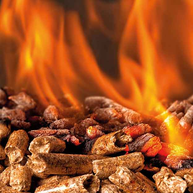 Holzpellets Red 300 kg, (Palette, 20-St)